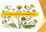 design amazing power point presentation, assignment and logo